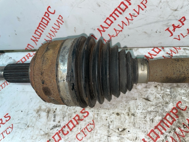 Привод, 3500 рублей, Владимир