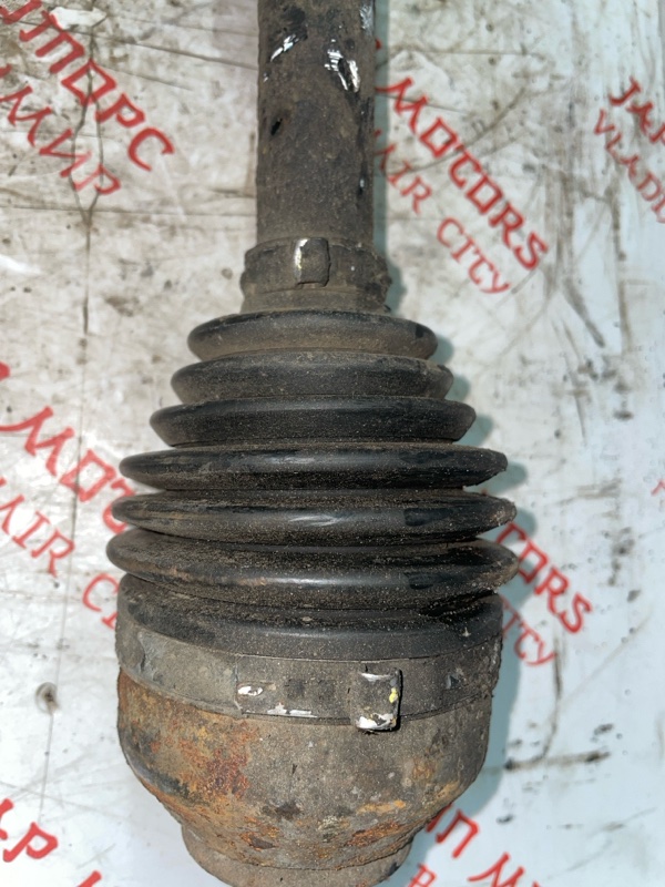 Привод, 10000 рублей, Владимир