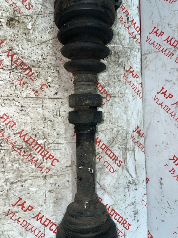 Привод, 10000 рублей, Владимир