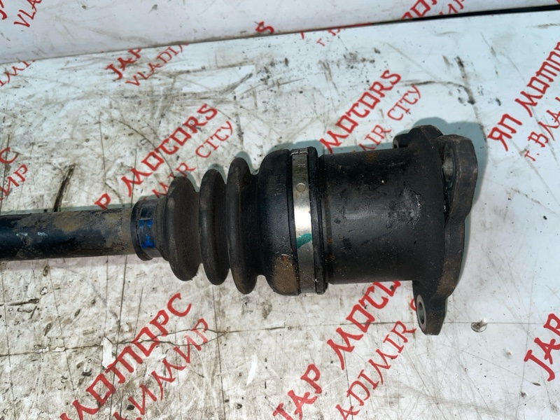 Привод, 3000 рублей, Владимир