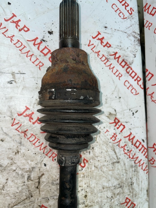 Привод, 3000 рублей, Владимир