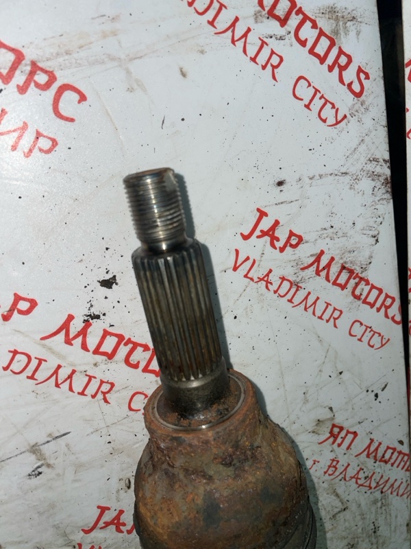 Привод, 3000 рублей, Владимир