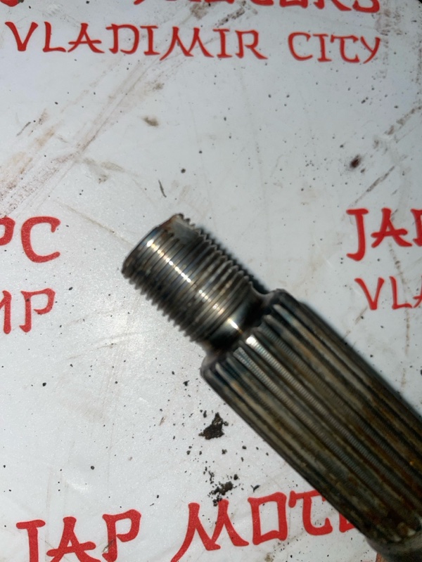 Привод, 3000 рублей, Владимир