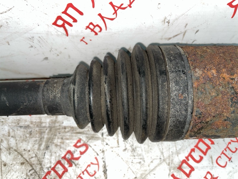 Привод, 3500 рублей, Владимир