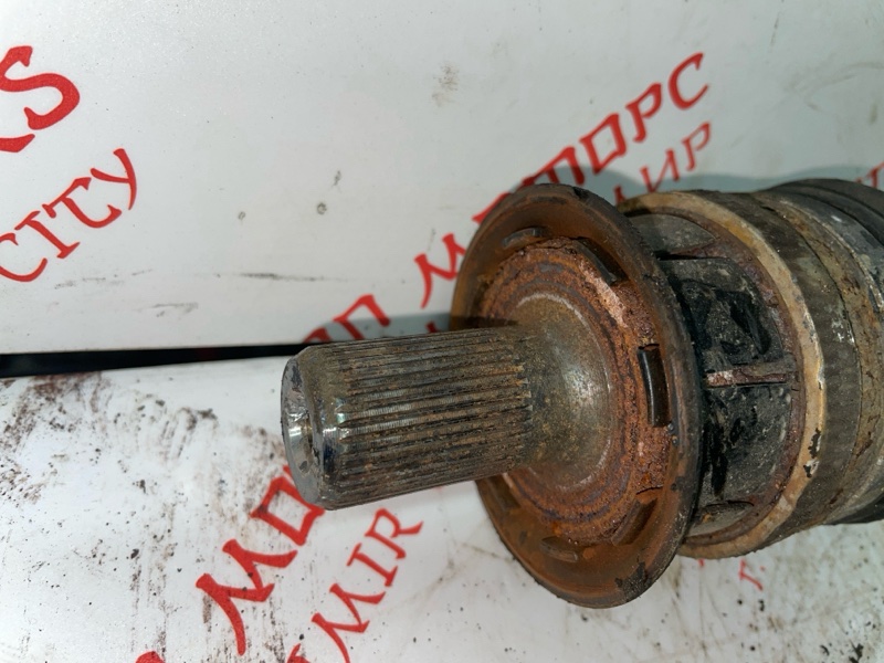 Привод, 3500 рублей, Владимир