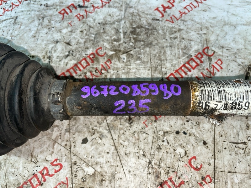 Привод, 12000 рублей, Владимир