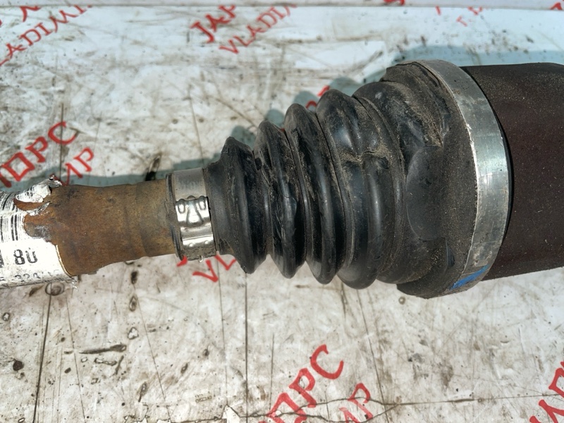 Привод, 12000 рублей, Владимир