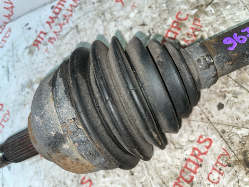 Привод, 12000 рублей, Владимир