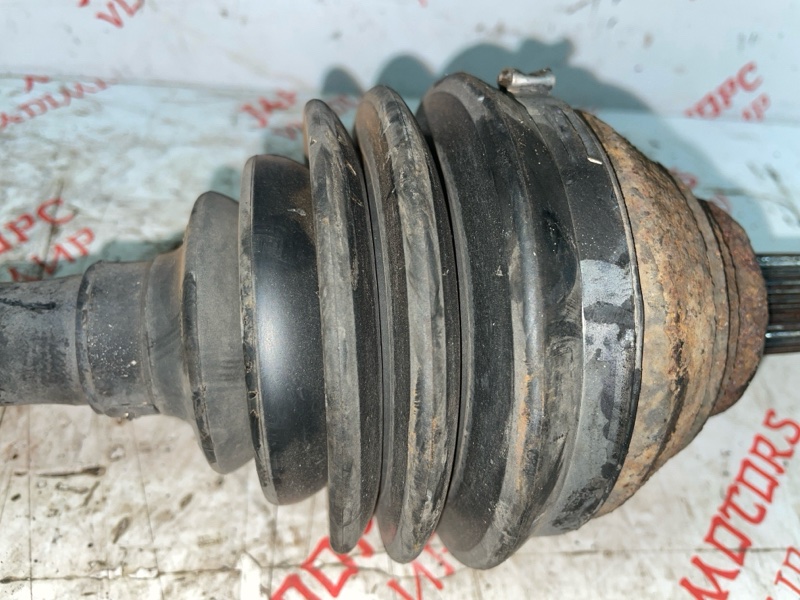 Привод, 5000 рублей, Владимир