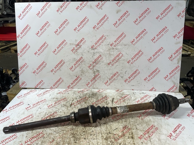 Привод, 5000 рублей, Владимир