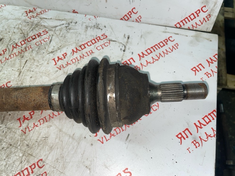 Привод, 5000 рублей, Владимир