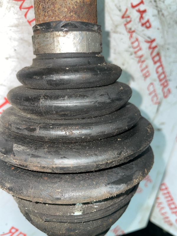 Привод, 5000 рублей, Владимир