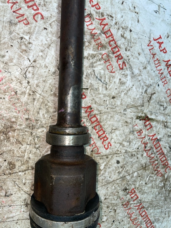 Привод, 5000 рублей, Владимир