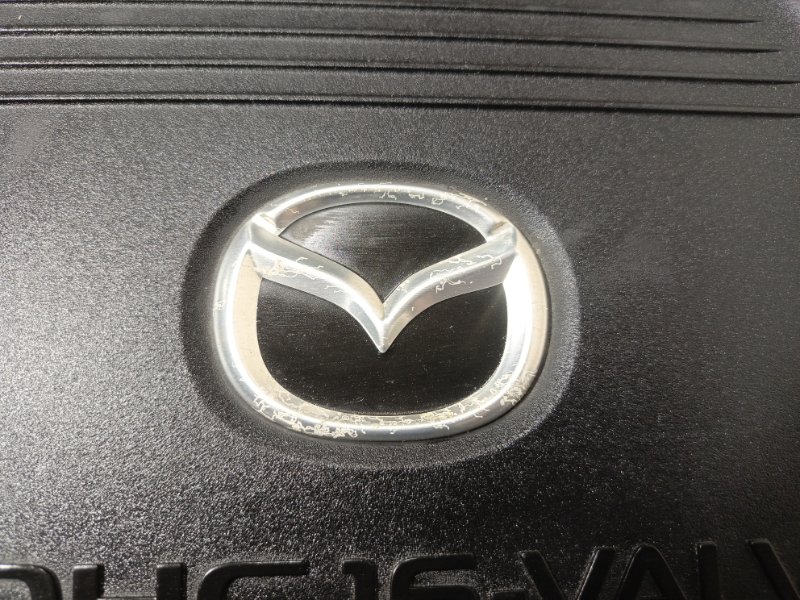 Декоративная крышка двигателя, 1000 рублей, Владимир