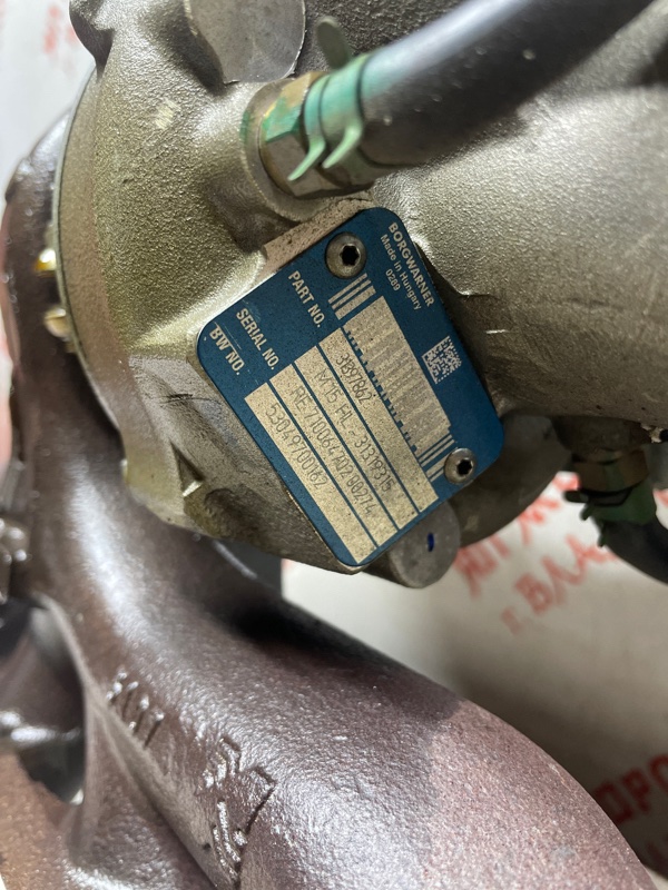 Турбина, 25000 рублей, Владимир