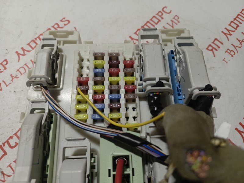 Блок предохранителей, 4000 рублей, Владимир