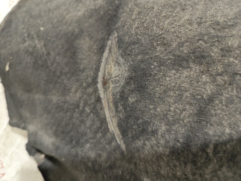 Подкрылок, 8000 рублей, Владимир