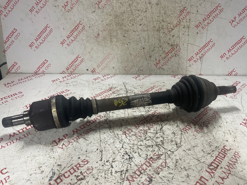 Привод, 4000 рублей, Владимир