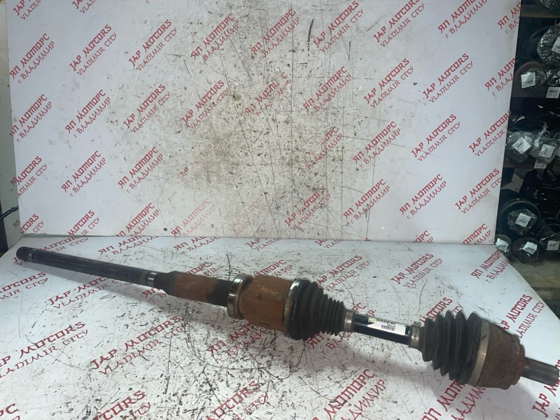 Привод, 6000 рублей, Владимир