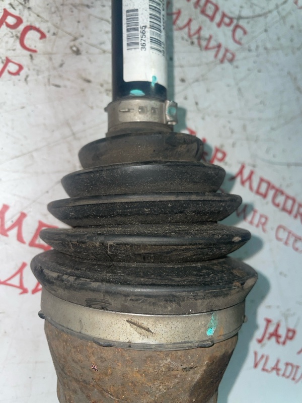 Привод, 6000 рублей, Владимир