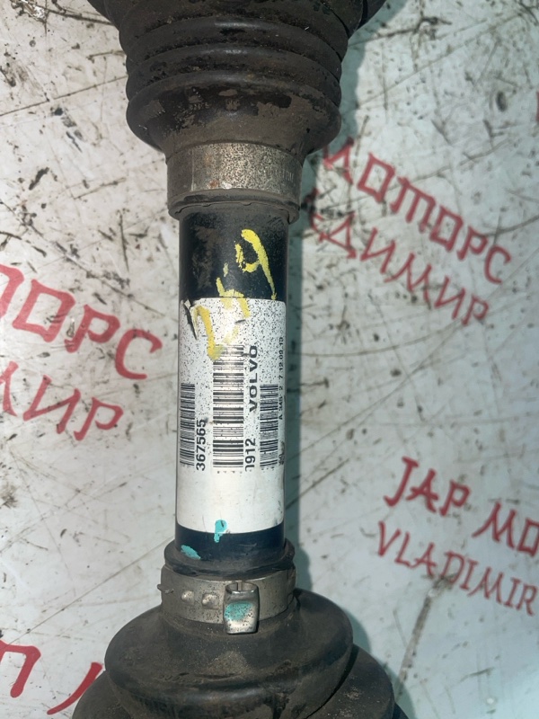 Привод, 6000 рублей, Владимир