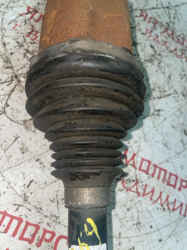 Привод, 6000 рублей, Владимир