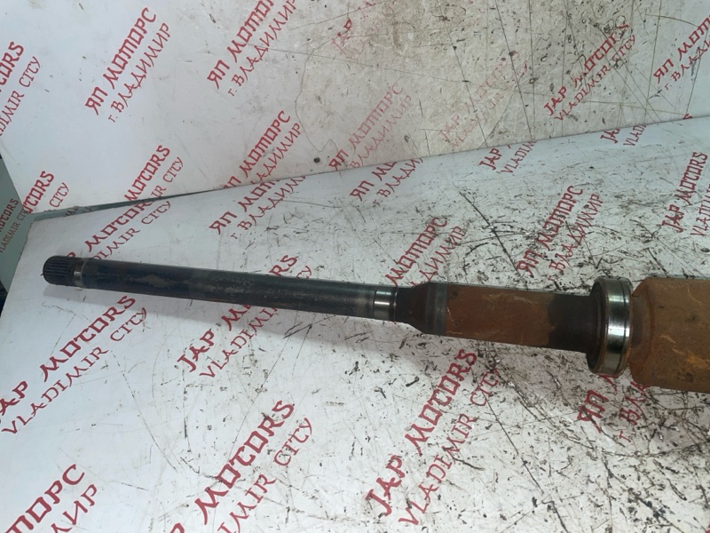 Привод, 6000 рублей, Владимир