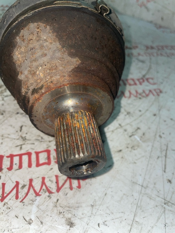 Привод, 4000 рублей, Владимир