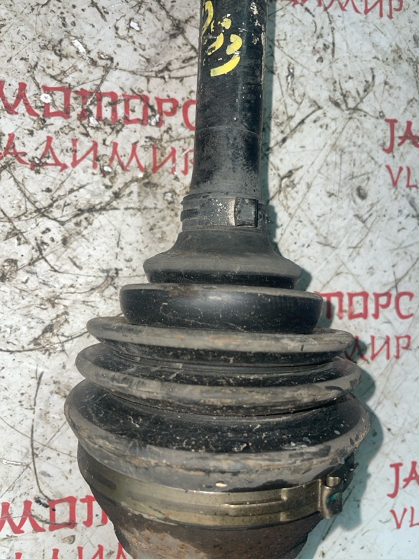 Привод, 4000 рублей, Владимир