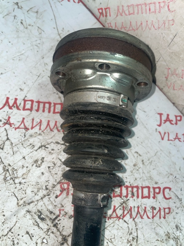 Привод, 4000 рублей, Владимир