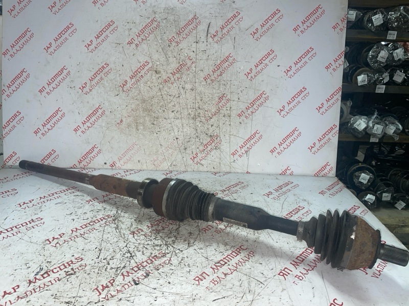 Привод, 6000 рублей, Владимир