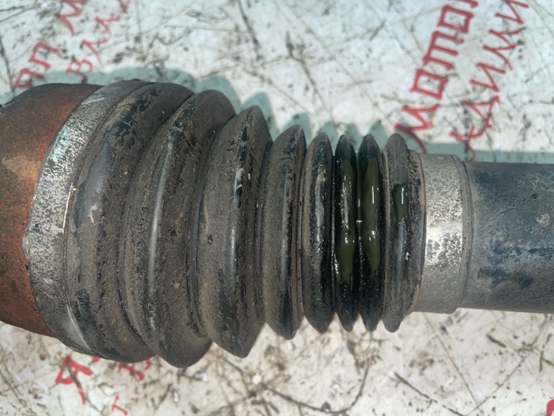 Привод, 6000 рублей, Владимир