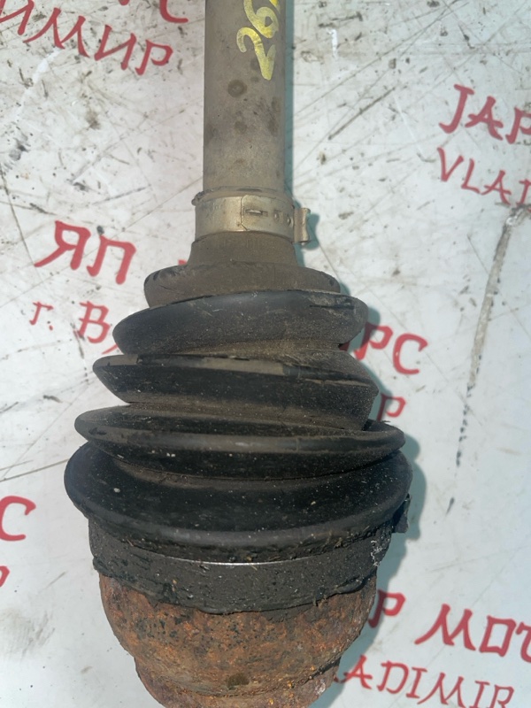 Привод, 9000 рублей, Владимир