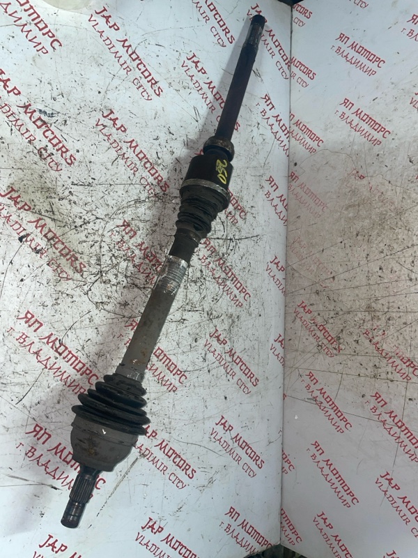 Привод, 5000 рублей, Владимир