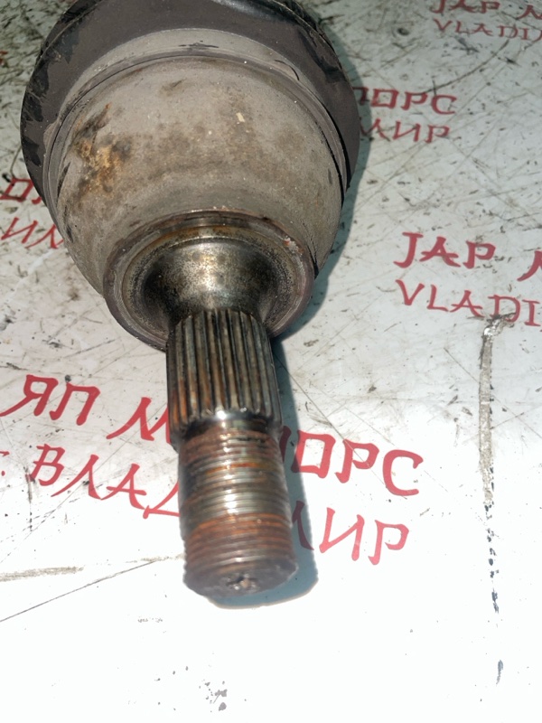 Привод, 5000 рублей, Владимир