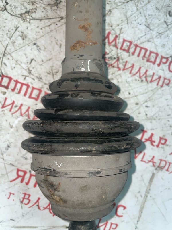 Привод, 5000 рублей, Владимир