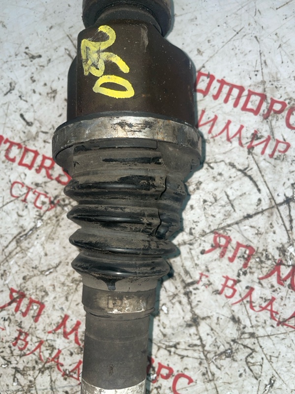 Привод, 5000 рублей, Владимир