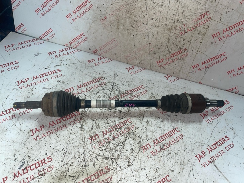 Привод, 4000 рублей, Владимир