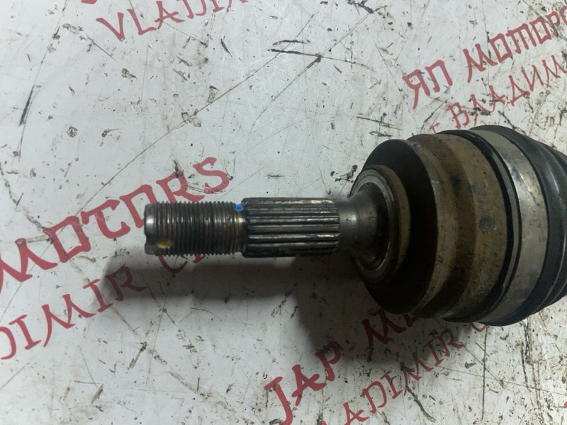 Привод, 4000 рублей, Владимир