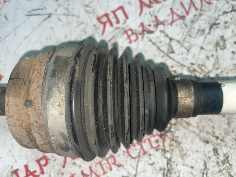 Привод, 4000 рублей, Владимир