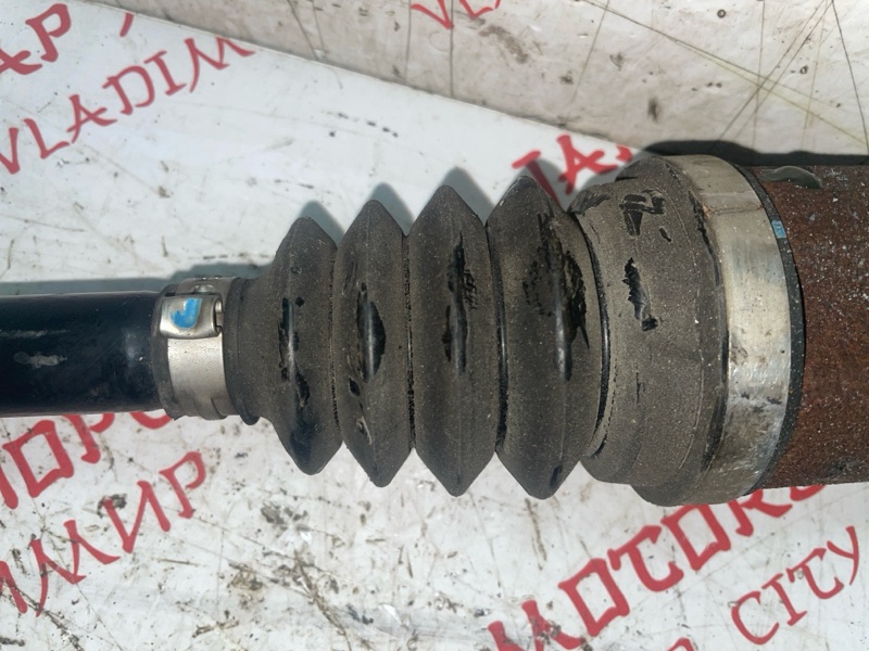 Привод, 4000 рублей, Владимир