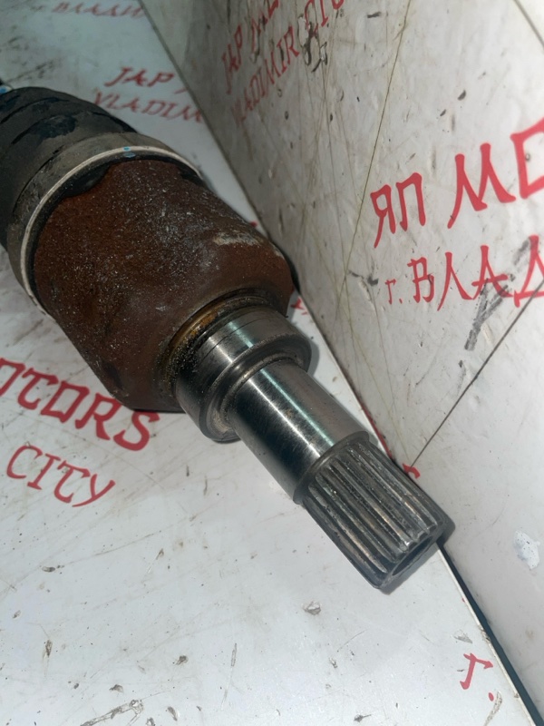 Привод, 4000 рублей, Владимир