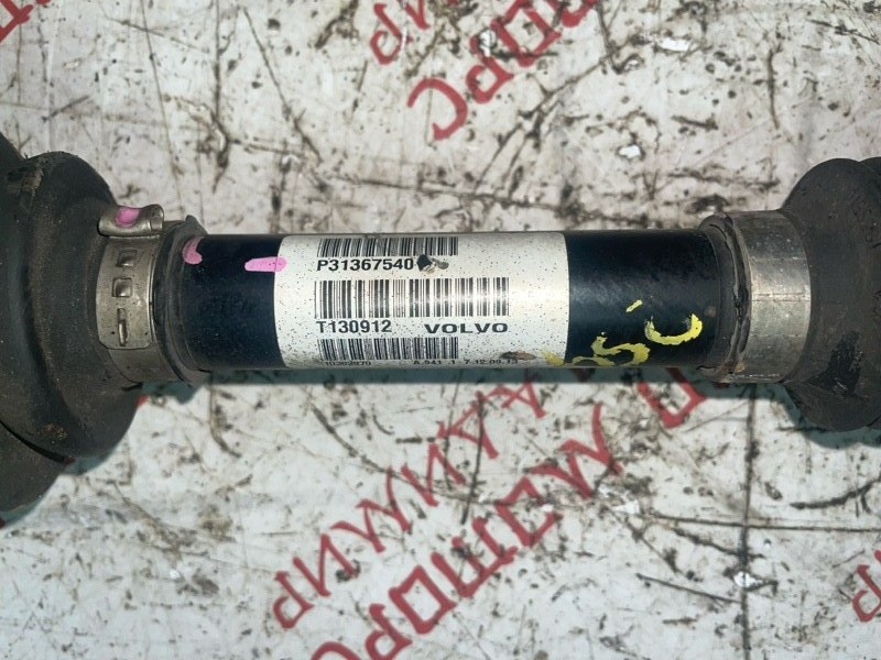 Привод, 10000 рублей, Владимир