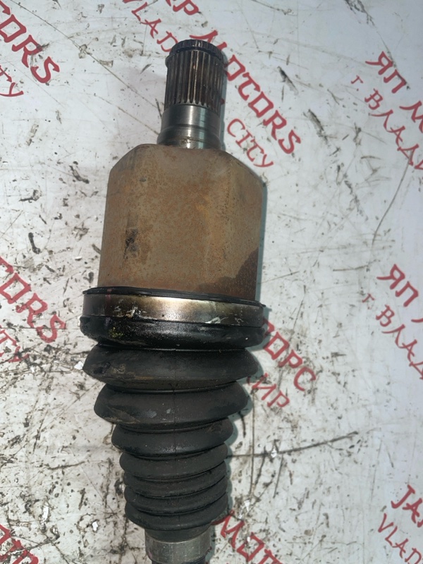 Привод, 10000 рублей, Владимир