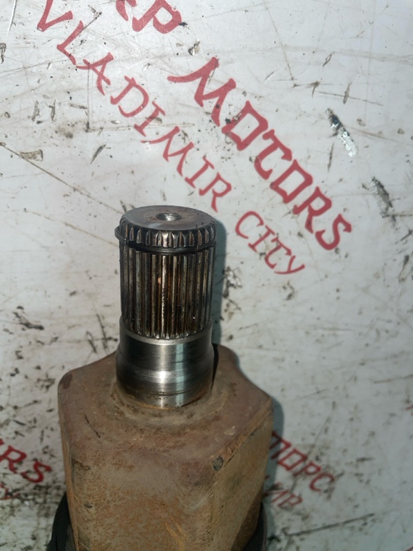 Привод, 10000 рублей, Владимир