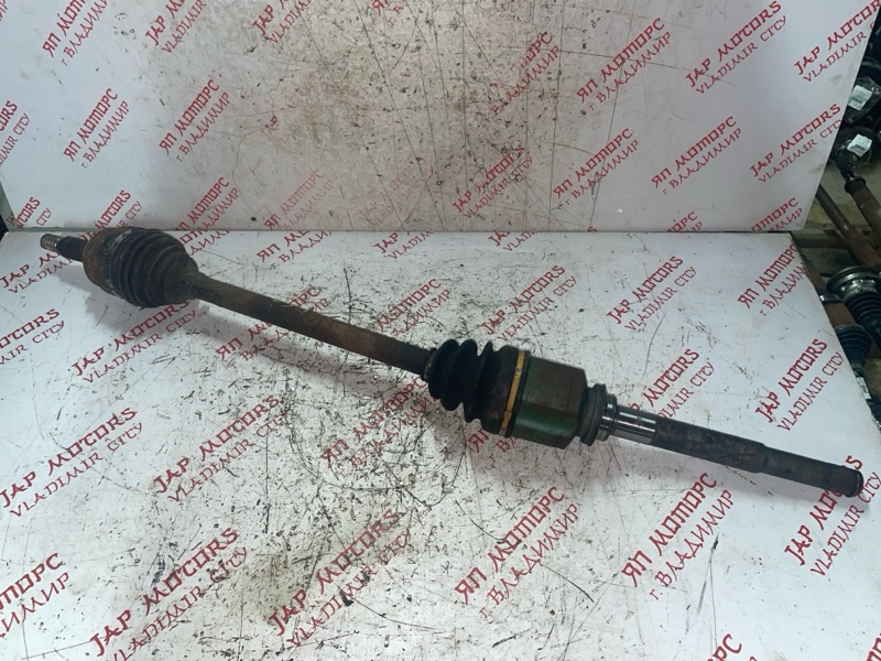 Привод, 4000 рублей, Владимир