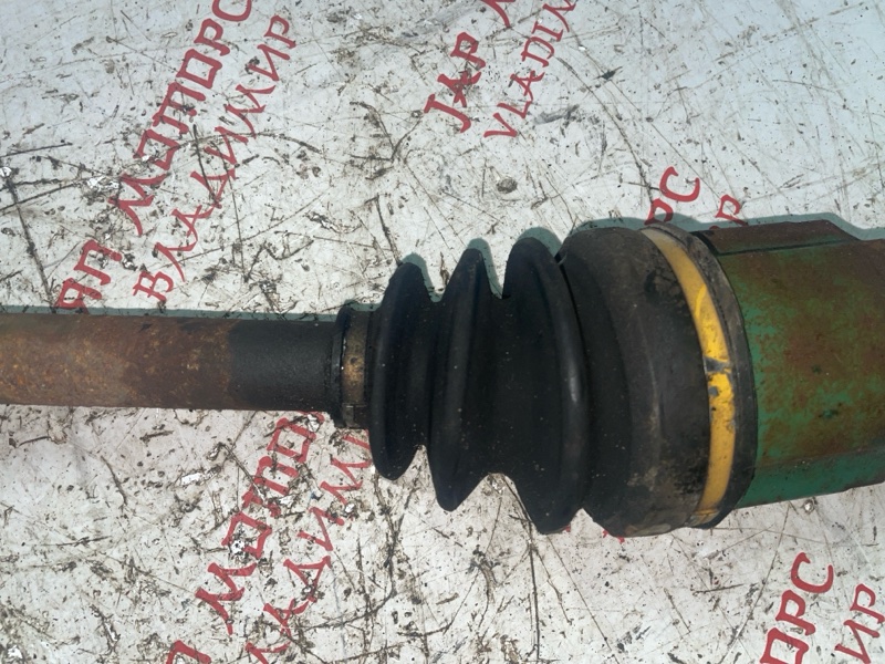 Привод, 4000 рублей, Владимир