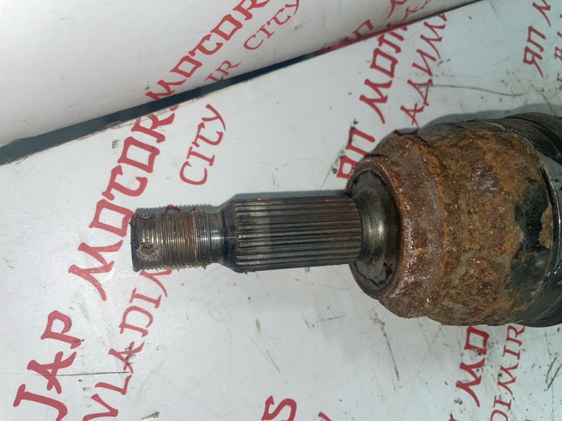 Привод, 4000 рублей, Владимир