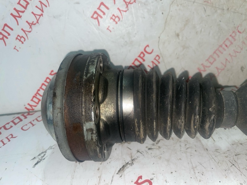 Привод, 3000 рублей, Владимир