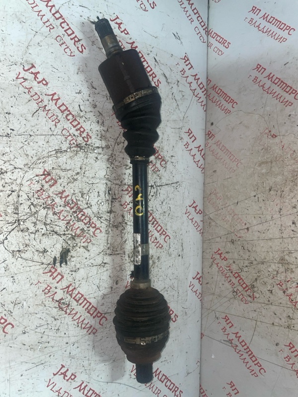 Привод, 3000 рублей, Владимир